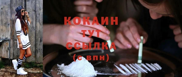 ГАЛЛЮЦИНОГЕННЫЕ ГРИБЫ Карпинск