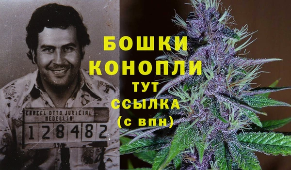 ГАЛЛЮЦИНОГЕННЫЕ ГРИБЫ Карпинск