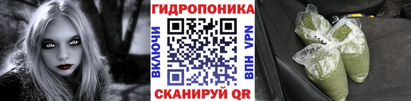 Бошки Шишки конопля  Купить закладки  Белинский 